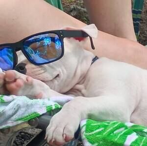 Meet your Posher, Michelle